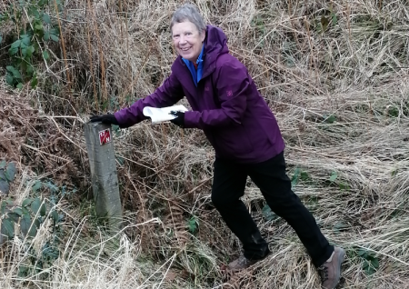 In the Spotlight... Silva Award (significant services over years to ‘field’ activities)