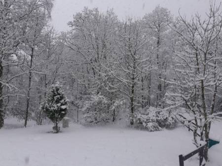 Talent North Basics Weekend