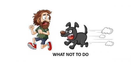Orienteering safely around dogs (your own or other people’s)