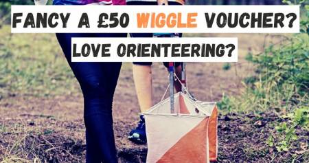 Making the most of WOC24 - survey request!