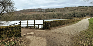 Patience, Persistence and Politeness – key factors in gaining access