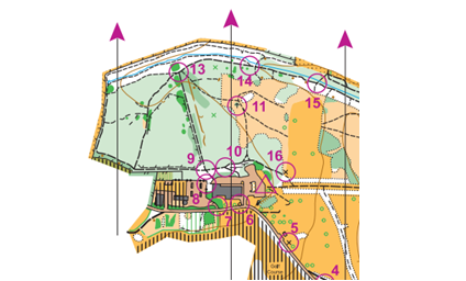 Enjoy New Adventures with Go Orienteering