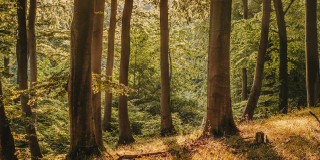 Considering becoming a Mapper? Sign up to our eLearning course!