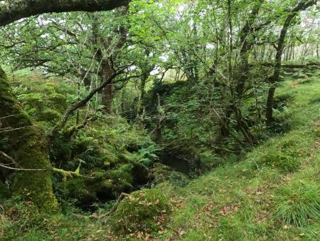 Coast and Islands 2022...orienteering adventure on the west coast of Scotland