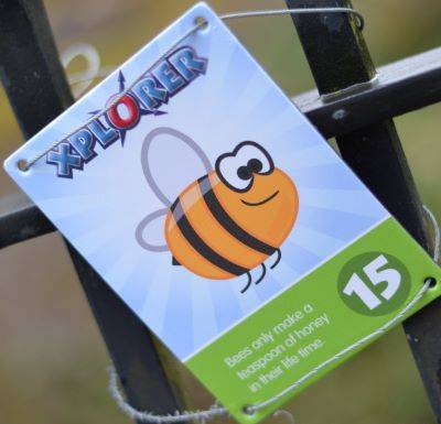 New Year, New Targets!  10 ways Xplorer can help reach your target audiences